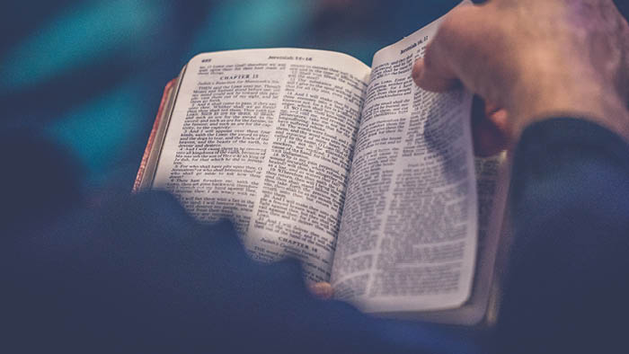 Better to Read the Bible Every Day than Every Year