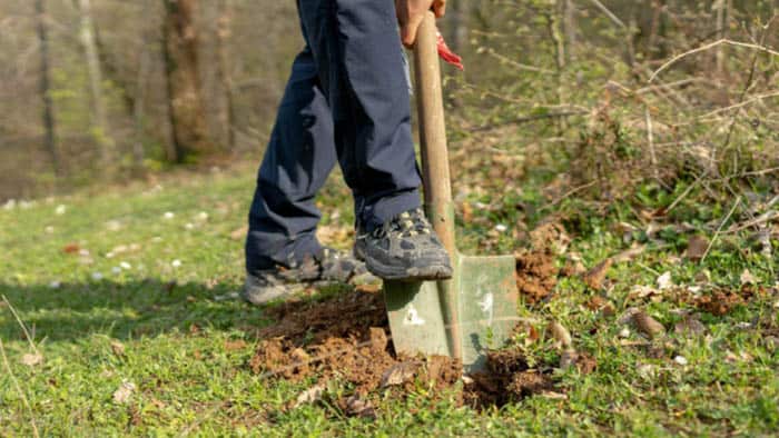 Move and Dig