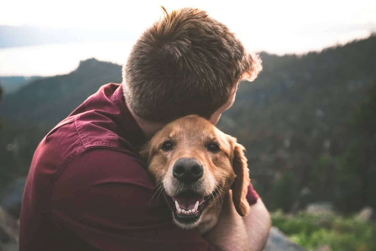 What Owning a Dog Taught Me About God’s Love