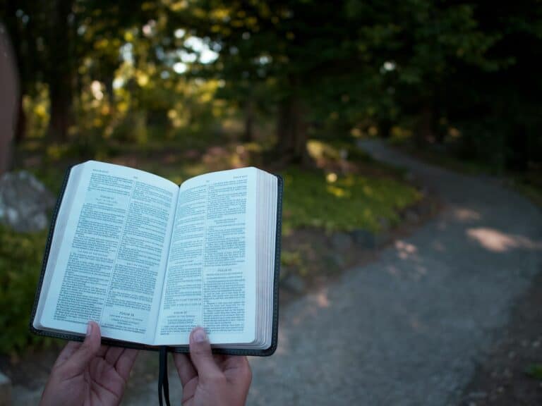 Open Bible with Psalm text outdoors, representing "Finding the Voice of God".