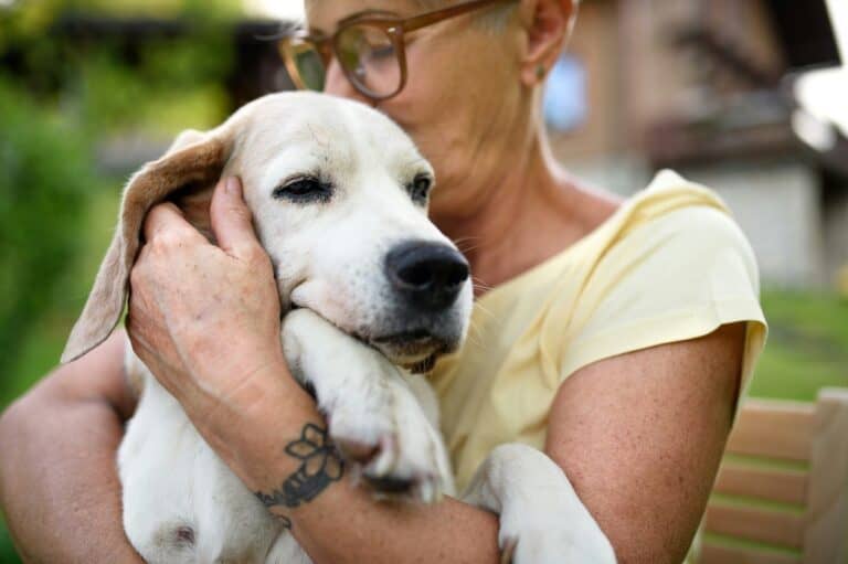 Senior woman lovingly holds her beagle dog outdoors, bonding with her pet.