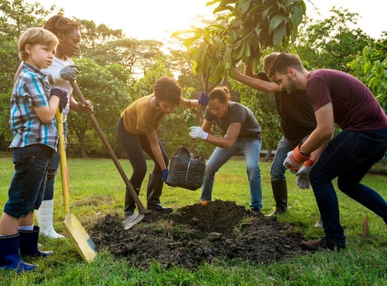 Group planting a tree outdoors, Christ Community outreach.