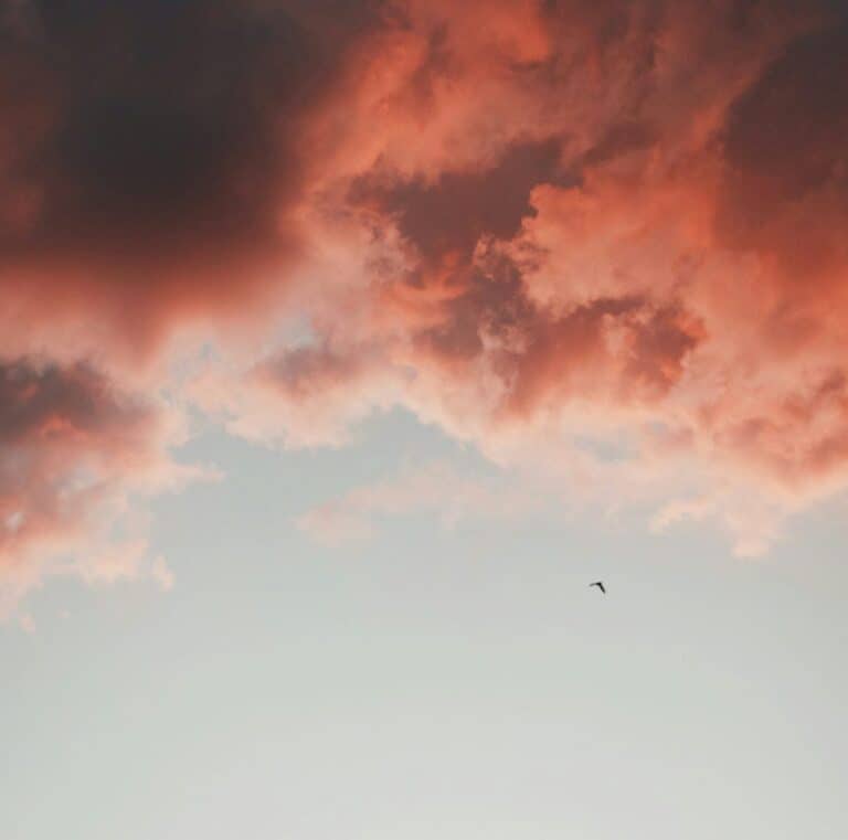 Pink and gray clouds fill the sky, with a single bird flying below.