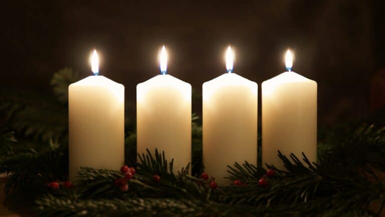 Four lit white candles surrounded by evergreen branches and red berries.