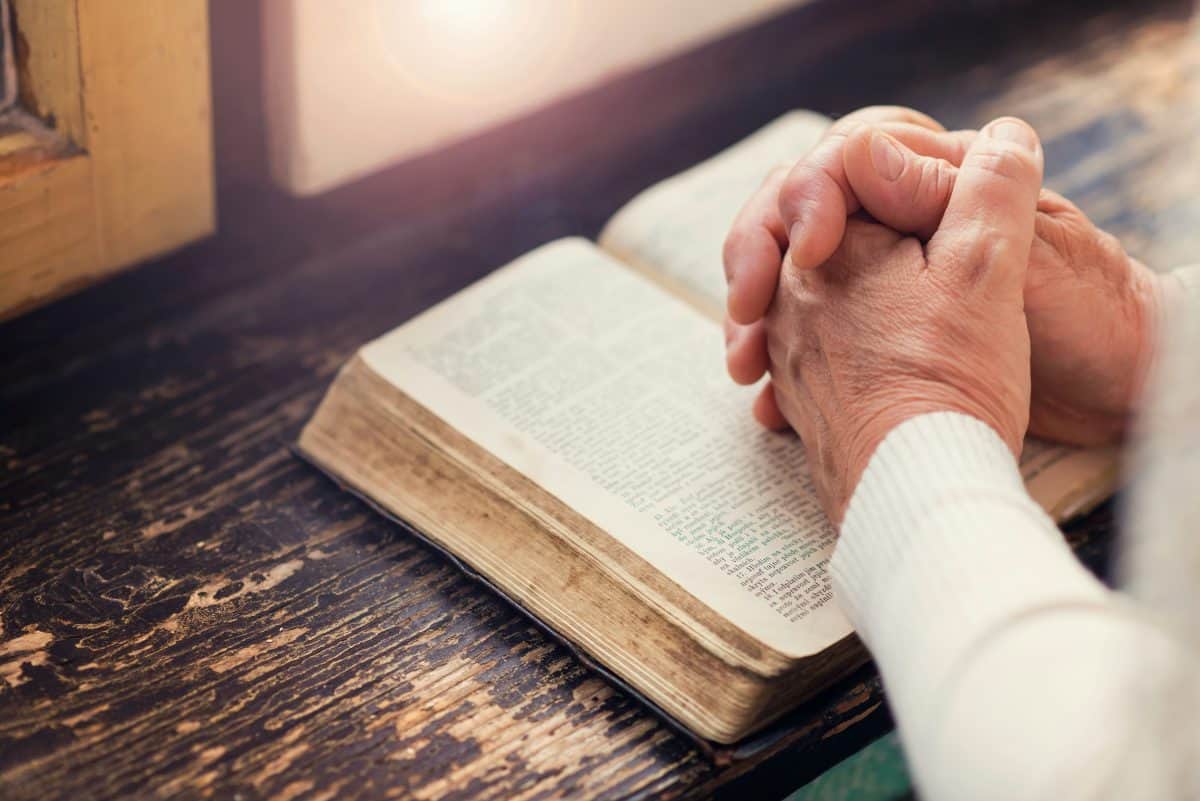 The Bible Is Divine and Human Literature