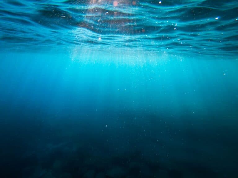 Sunlight filtering through clear blue ocean water, creating a serene and meditative underwater scene.